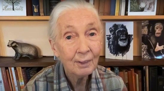 Dr Jane Goodall's powerful keynote address on nature, biodiversity, and health