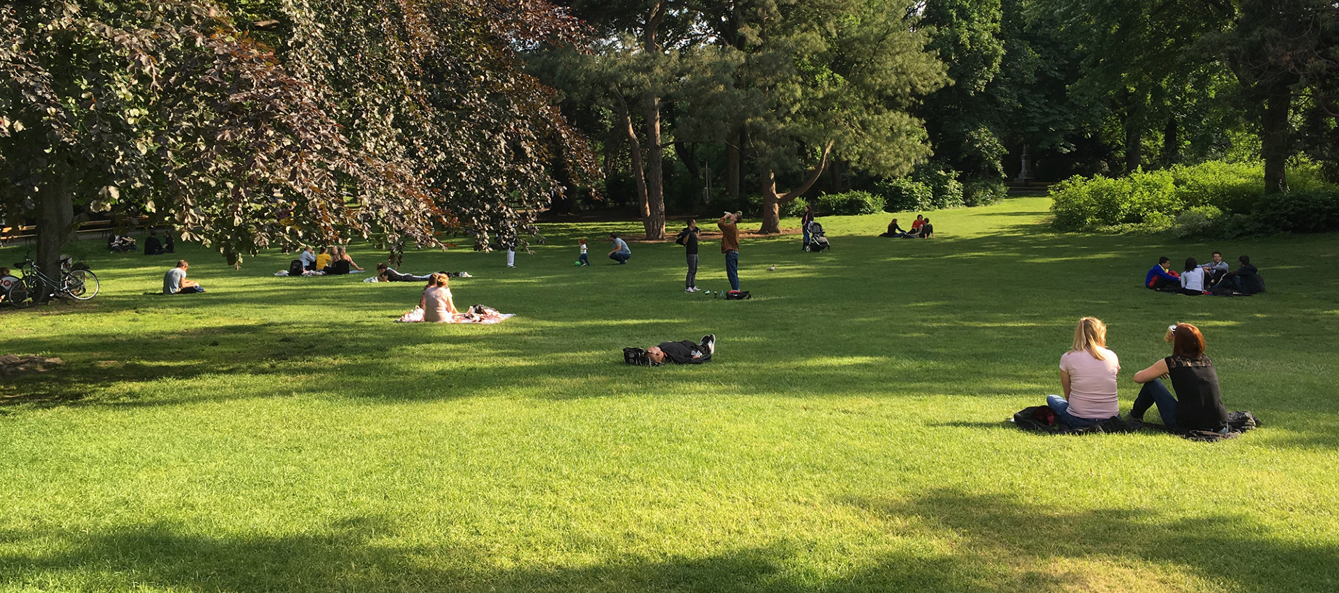 People sitting and relaxing in a park under the sun