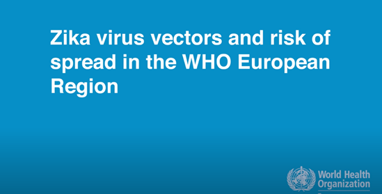 Zika virus vectors and risk of spread in the WHO European Region