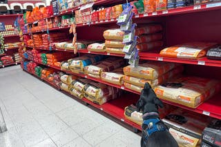 A dog sniffing a bag of dog food in the dog food aisle.