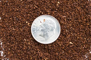 Sifted ground coffee with a dime sitting on top for contrast.