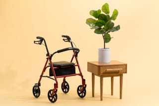 The Drive Durable 4 Wheel Rollator, shown next to a potted plant in front of a beige background.