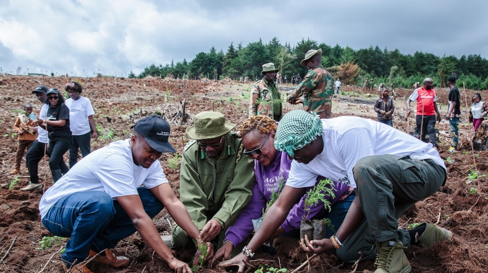A woman and men plant trees on a barren slope.