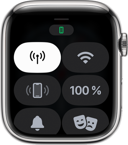Приложение «Пункт управления» на часах Apple Watch.