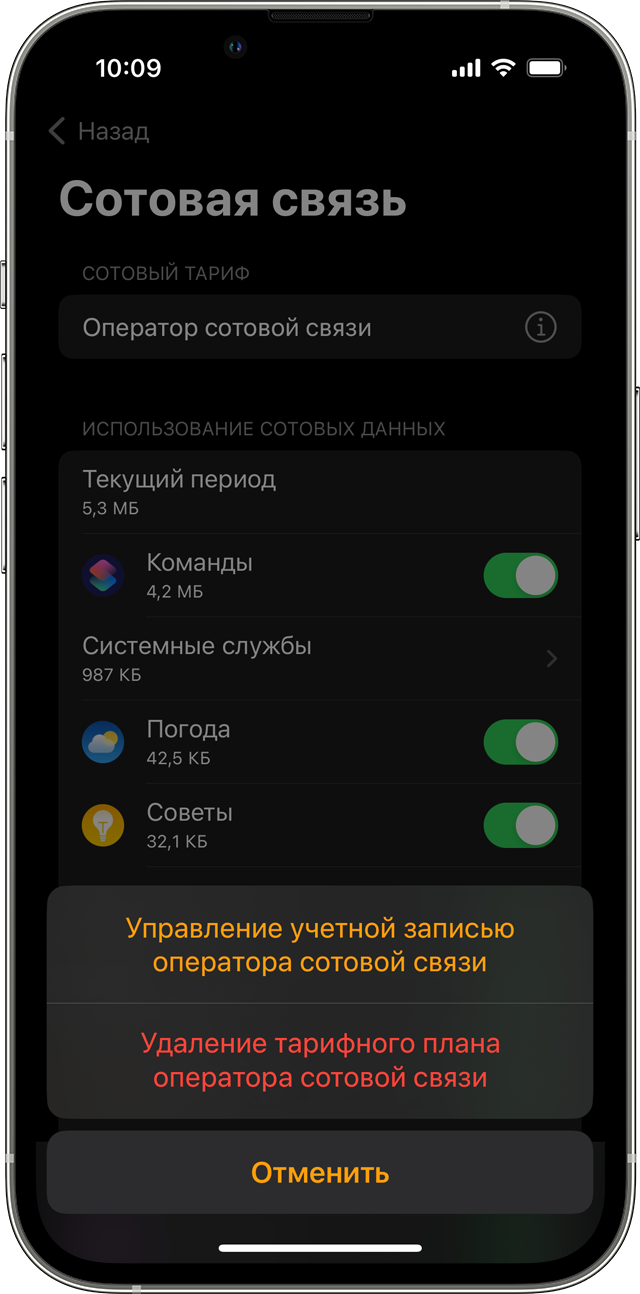 Экран iPhone с параметрами настройки сотовой связи в приложении Watch