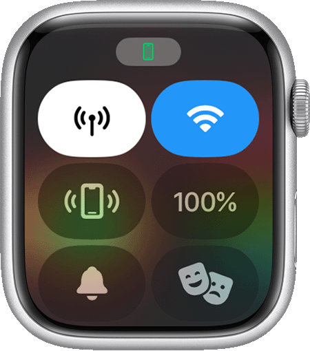 Apple Watch の画面上の接続状況。