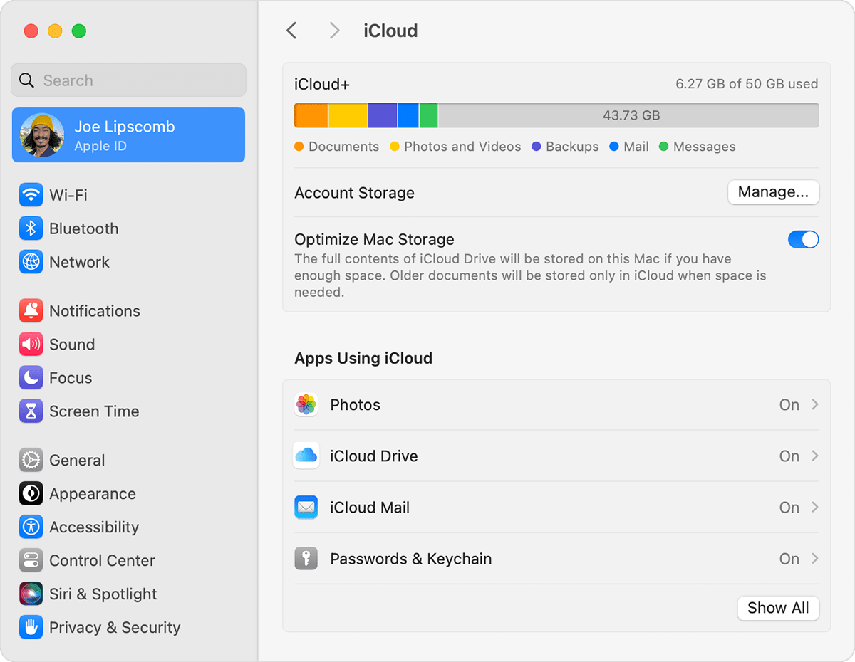 The Manage button is below the graph showing how much iCloud storage you've used.