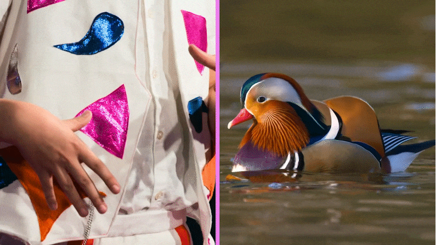 a young boy wearing a white waistcoat with colourful patches next to a colourful duck