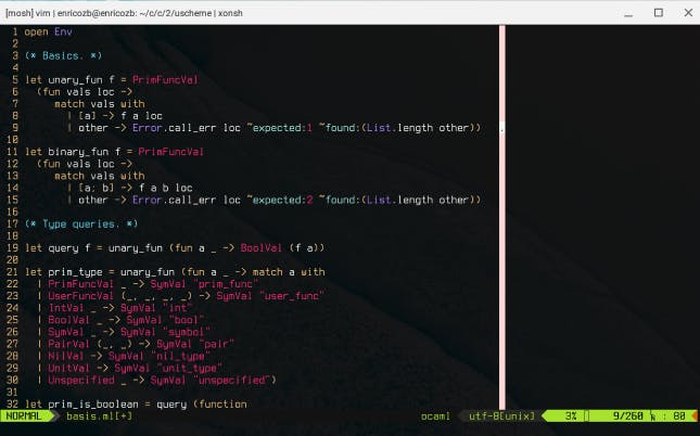 A Vim text editor with code.