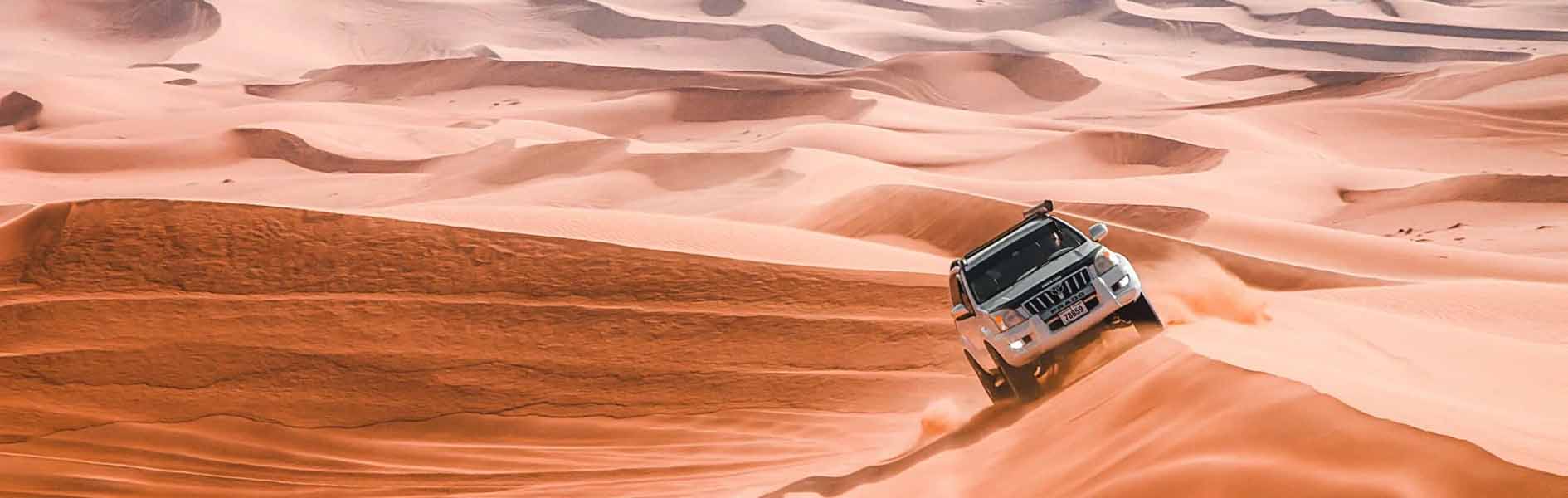 사막 듄베이싱을 즐기자!