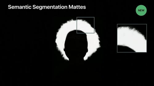 Introducing Photo Segmentation Mattes