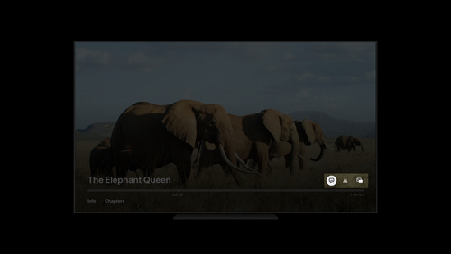 Deliver a great playback experience on tvOS