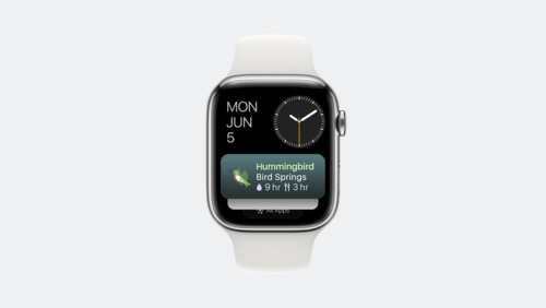 Build widgets for the Smart Stack on Apple Watch