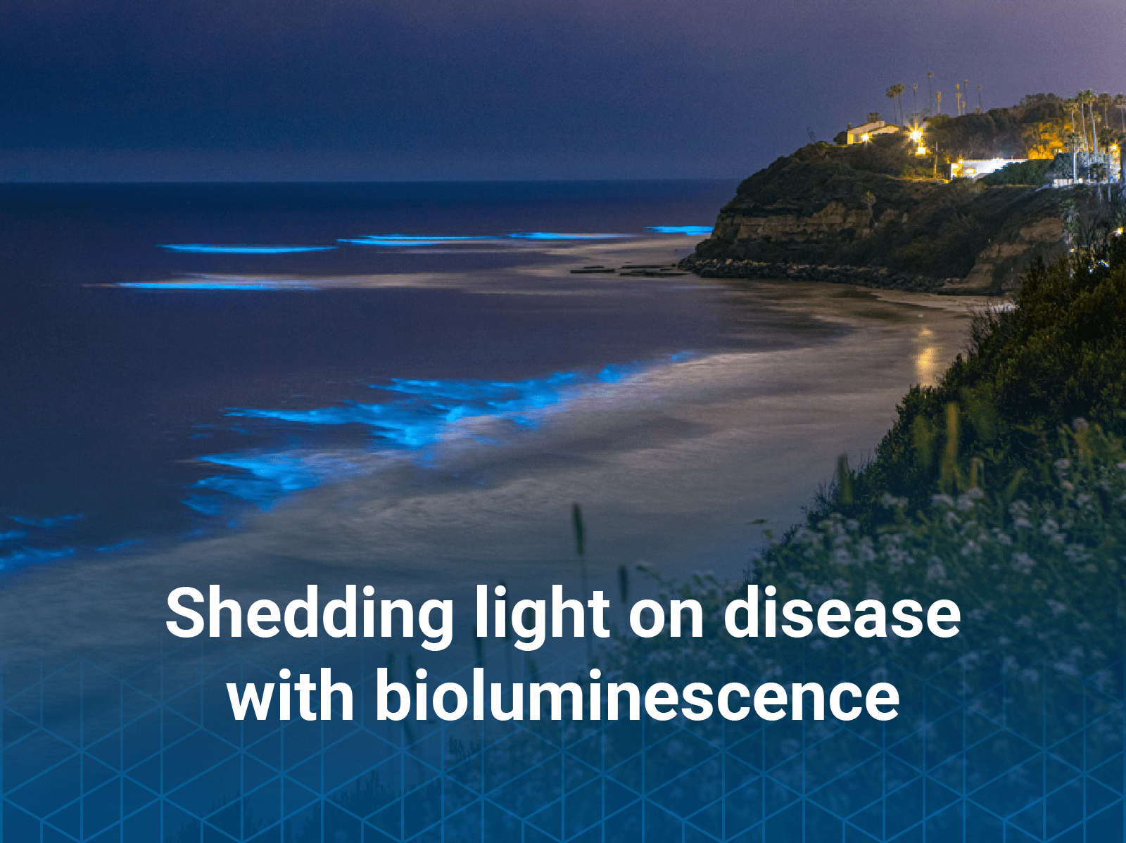 Bioluminescent algae visible in coastal surf with Shedding light on disease with bioluminescence text overlaid