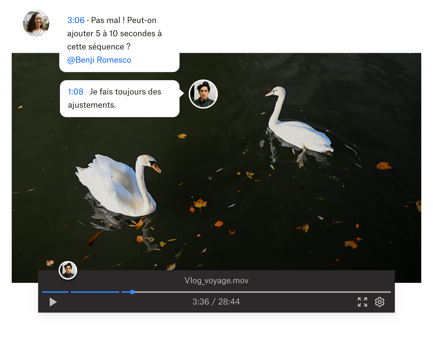 Image tirée d’une vidéo où deux cygnes nagent dans l’eau, avec des commentaires horodatés superposés à la vidéo