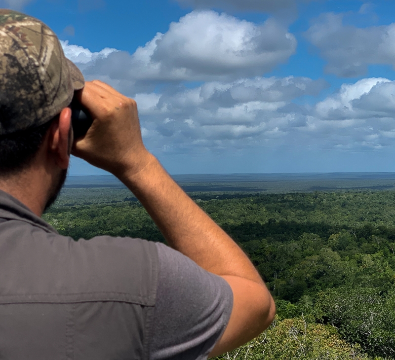 man with binoculars looking out on forest canopy 