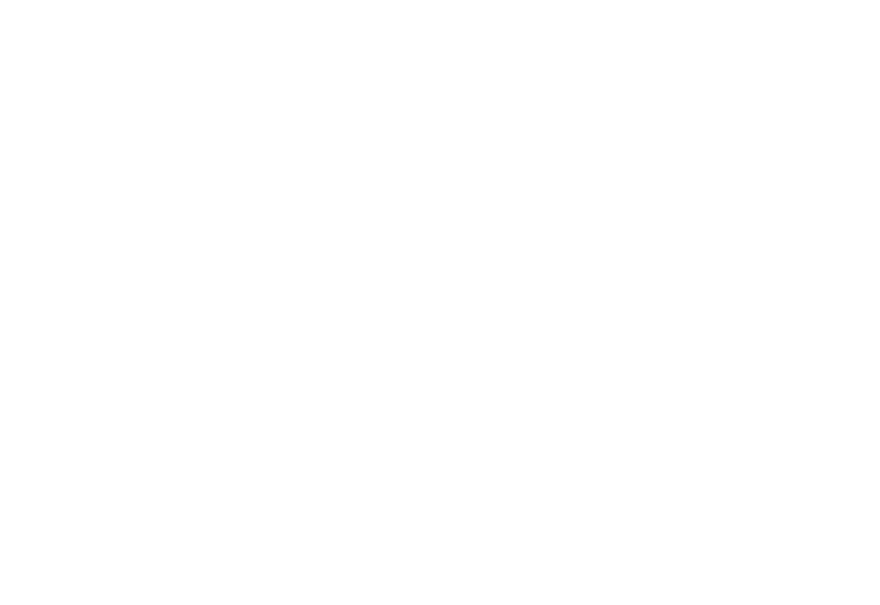 ZF becomes Laminas