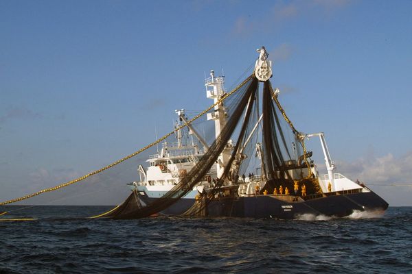 Le Trévignon est l'un des 14 thoniers senneur de la Compagnie française du thon océanique (CFTO). Il pêche le thon dans l'Océan Indien.
