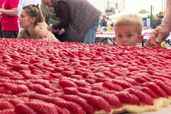 Une tarte aux fraises de 25m2 a été réalisée ce dimanche 19 mai à Guipavas (Finistère). 250 kilos de fruit auront été nécessaires à sa fabrication.