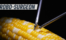 A robot performs microsurgery on a cob of corn.