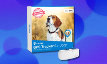 Tractive GPS on blue abstract background