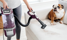 person using Shark vacuum to clean couch with dog sitting on it