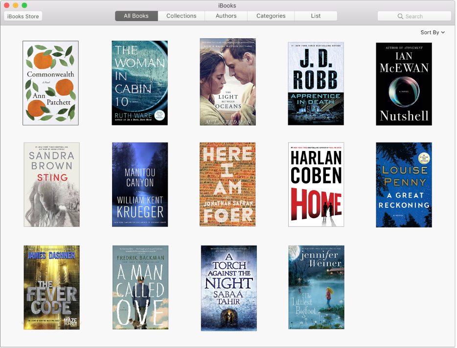 The All Books collection in the iBooks library.