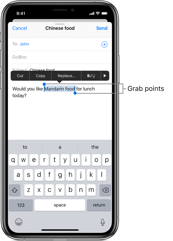 A sample email message with some of the text selected. Above the selection are the Cut, Copy, Paste, bold/italics/underline, and Show More buttons. The selected text is highlighted, with grab points at either end.