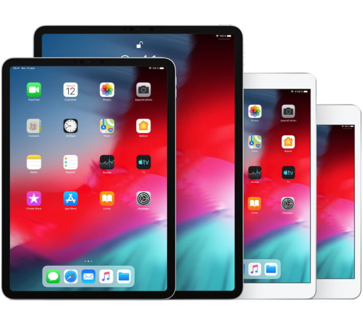 iPad Pro (10,5 pouces), iPad Pro (12,9 pouces) (2e génération), iPad Air (3e génération) et iPad mini (4e génération)