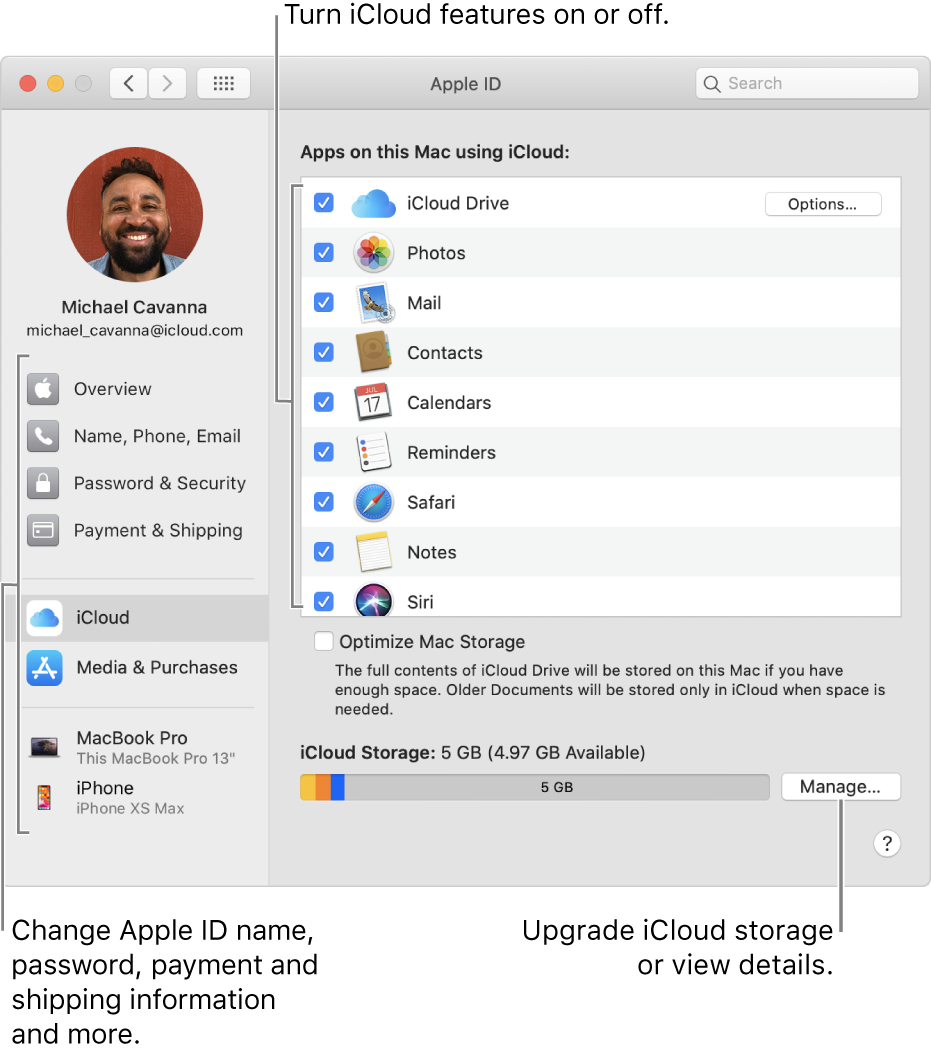 iCloud preferences with all the features selected.