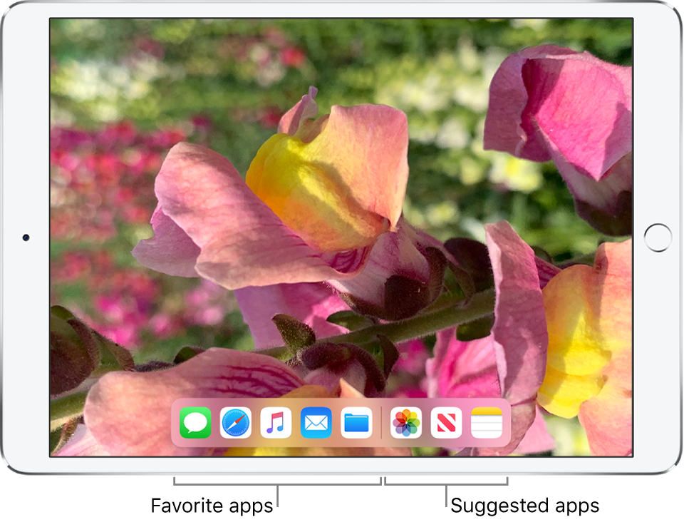The Dock showing five favorite apps on the left and three suggested apps on the right.