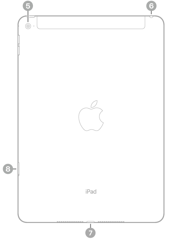 Vista traseira do iPad Air 2 com as seguintes chamadas, no sentido horário, a partir do canto superior esquerdo: câmara traseira, entrada para auscultadores, conector Lightning e tabuleiro para o cartão SIM (Wi‑Fi + Cellular).