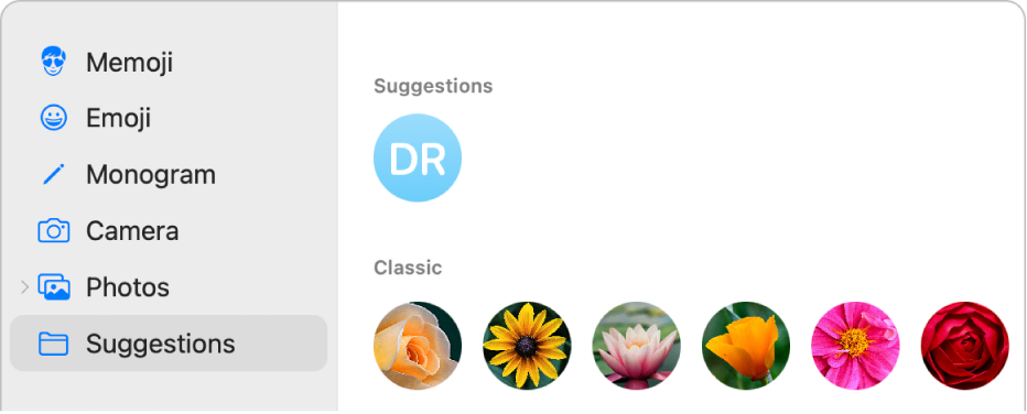 Zone de dialogue de la photo de l’identifiant Apple avec Suggestions sélectionné dans la barre latérale et des suggestions d’images affichées à droite.