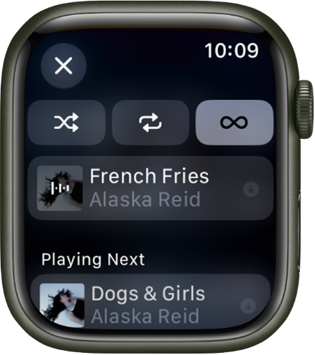 The tracklist window showing Shuffle, Repeat, and Auto Play buttons at the top, and one track directly below. Near the bottom, another track appears below Playing Next. A Close button is at the top left.