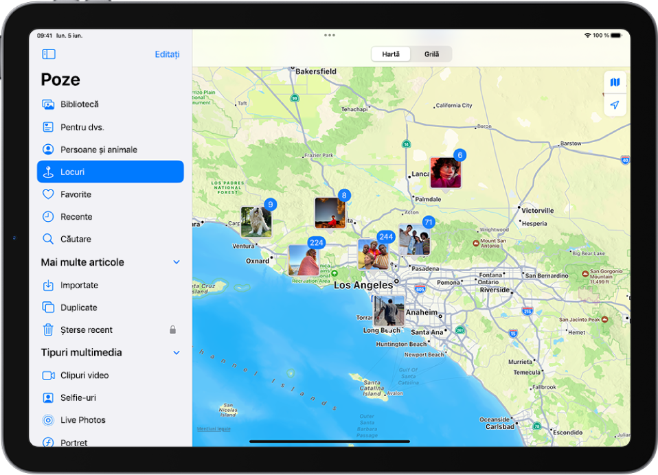 Albumul Locuri este selectat în bara laterală din partea stângă a ecranului iPad‑ului. Pe restul ecranului se află o hartă care afișează numărul de poze realizate în fiecare loc.