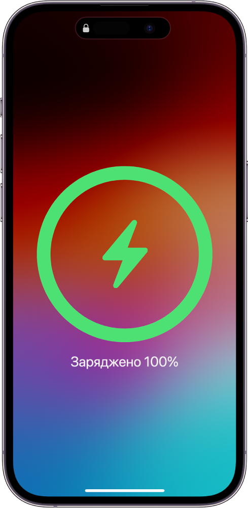 Екран iPhone з індикатором 100%-ого заряду батареї.