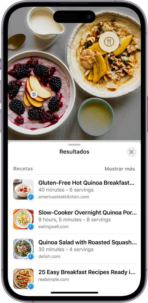 La parte superior de la pantalla del iPhone muestra una foto de diferentes tipos de comida. El buscador visual ha identificado dos de los ítems y un ítem está seleccionado. La parte inferior de la pantalla muestra enlaces de Safari a recetas similares a la comida identificada por el buscador visual.