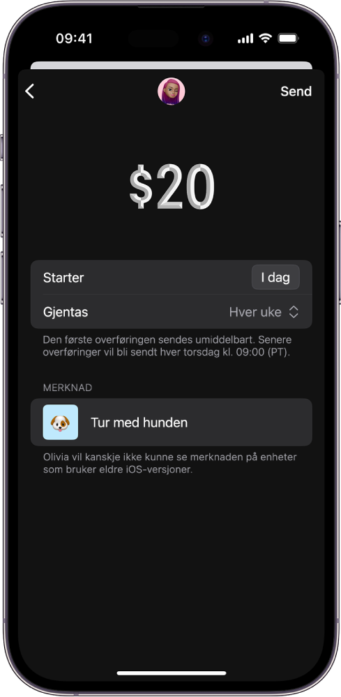En skjerm som viser valg for å sende en gjentakende betaling.