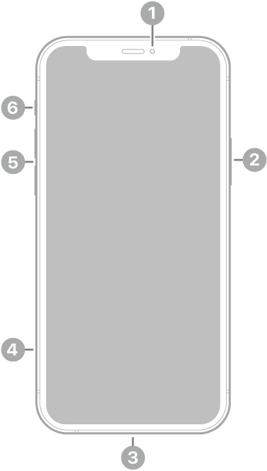 Vista frontal do iPhone 12. A câmera frontal está na parte superior central. O botão lateral encontra-se no lado direito. O conector Lightning encontra-se na parte inferior. No lado esquerdo, de baixo para cima, estão a bandeja do SIM, os botões de volume e o botão Toque/Silencioso.