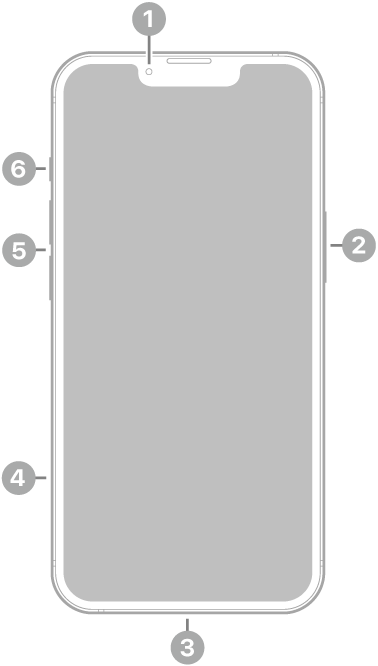 Pogled na iPhone 13 od spredaj. Sprednja kamera je na vrhu v sredini. Stranski gumb je na desni strani. Priključek Lightning je na dnu. Na levi strani so od spodaj navzgor pladenj kartice SIM, gumba za glasnost in stikalo Ring/Silent.