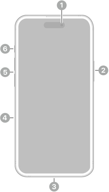 Pogled na iPhone 15 od spredaj. Sprednja kamera je na vrhu v sredini. Stranski gumb je na desni strani. Priključek Lightning je na dnu. Na levi strani so od spodaj navzgor pladenj kartice SIM, gumba za glasnost in stikalo Ring/Silent.