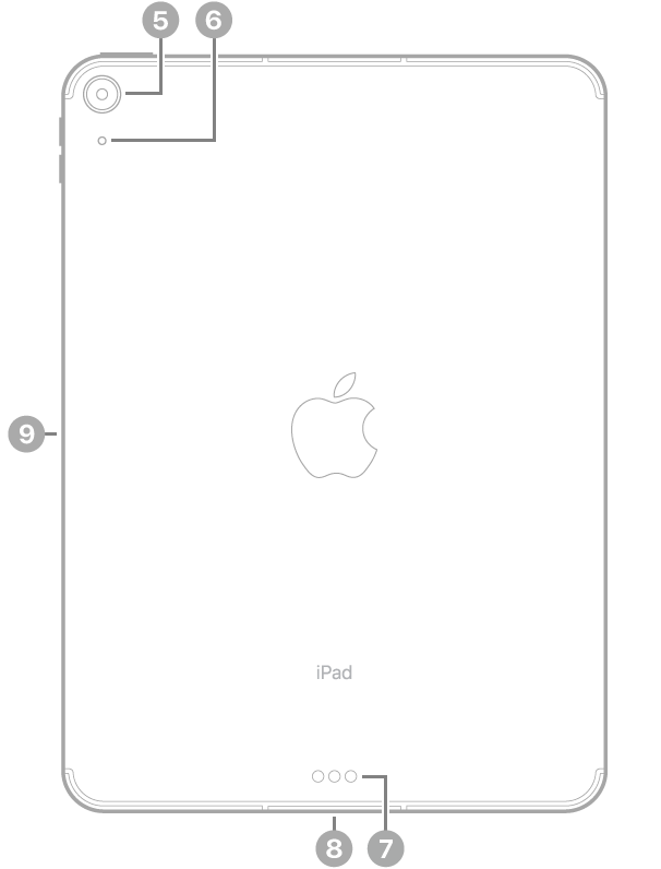 Вигляд iPad Air 11 дюймів (M2) ззаду з виносками на задню камеру вгорі ліворуч, з’єднувач Smart Connector і з’єднувач USB-C внизу по центру, тримач SIM-картки (Wi-Fi + Cellular) унизу ліворуч і магнітний з’єднувач для Apple Pencil ліворуч.