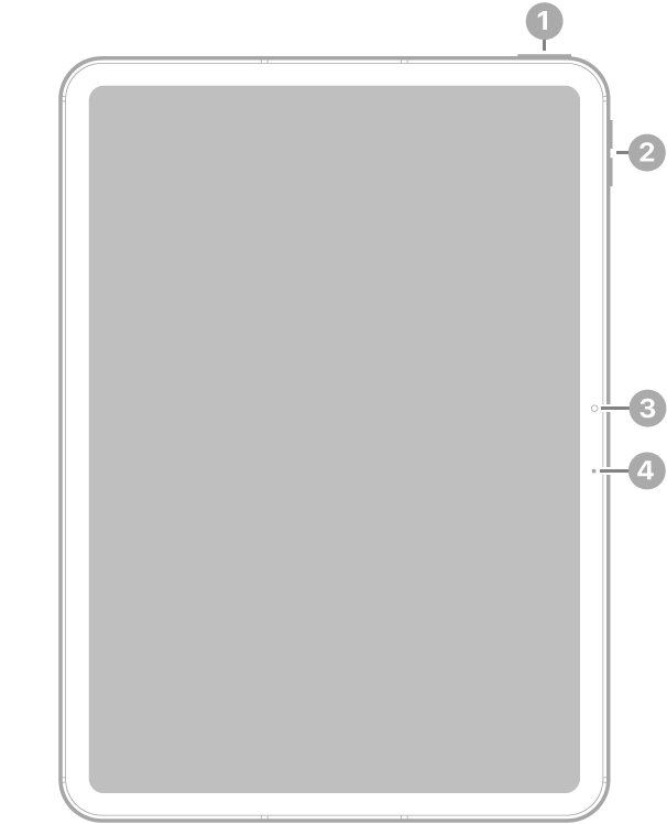Вигляд iPad Air 11 дюймів (M2) спереду з виносками на верхню кнопку й Touch ID вгорі праворуч, кнопки гучності у верхній частині праворуч, передню камеру по центру праворуч і мікрофон праворуч.