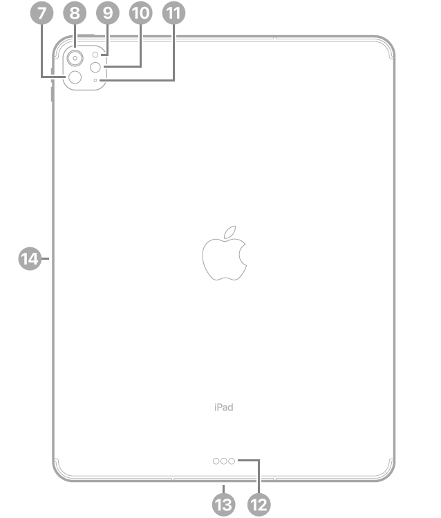 Вигляд iPad Pro 13 дюймів (M4) ззаду з виносками на сканер LiDAR, задню камеру, задній датчик навколишнього освітлення, спалах і мікрофон угорі ліворуч, з’єднувач Smart Connector і з’єднувач USB-C внизу по центру та магнітний з’єднувач для Apple Pencil ліворуч.
