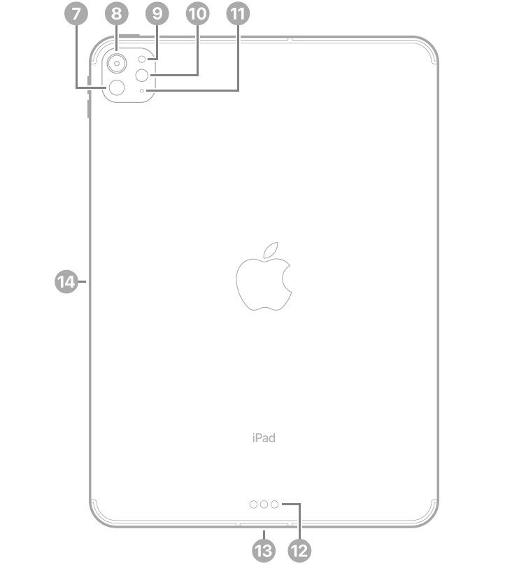 11 col. „iPad Pro“ ( M4) vaizdas iš galo su nuorodomis į „LiDAR“, galinį fotoaparatą, galinį aplinkos šviesos jutiklį, blykstę ir mikrofoną viršuje kairėje, „Smart Connector“ bei USB-C jungtį apačioje centre ir magnetinę „Apple Pencil“ jungtį kairėje.