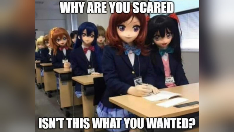 Why Are You Scared? Isn't This What You Wanted? meme example.