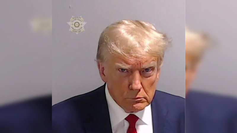 The photo of the donald trump mugshot.