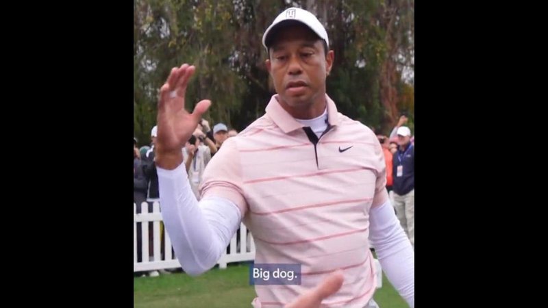 Tiger Woods, dapping someone up -- subtitle reads "Big dog." / big dog meme.