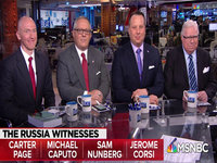 Ari Melber's Russiagate Key Witnesses Panel