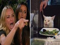 Woman Yelling At Cat - Taylor Armstrong left and Smudge The Cat at a dinner table on the right.